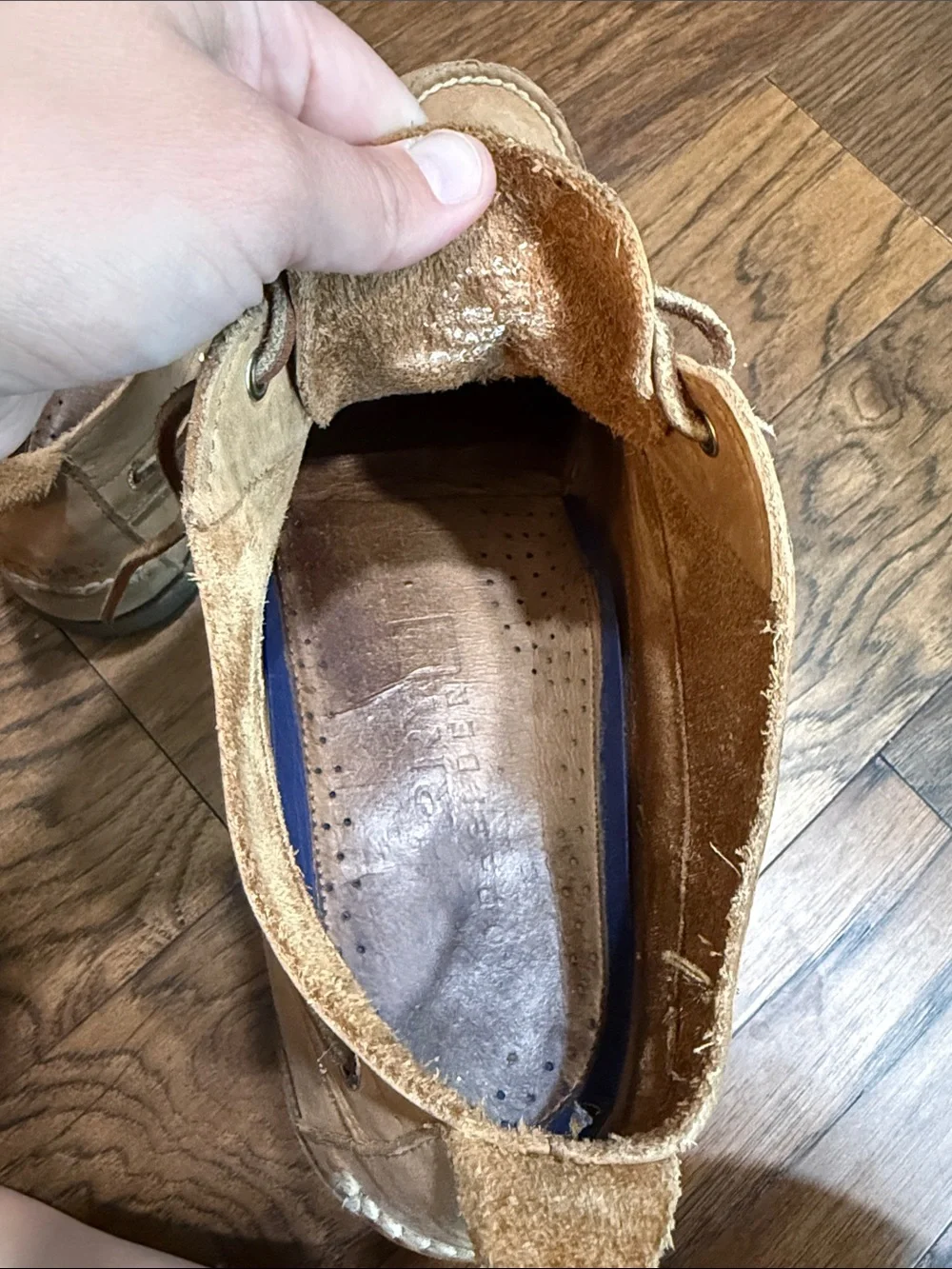 Sperry Men's Suede Boat Shoes in Tan with Leather Laces
